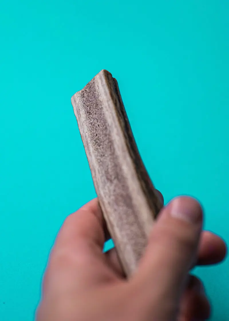 Thumbnail 7: Greenhero Hirschgeweih Kaustange M | für Hunde von 8-12 kg