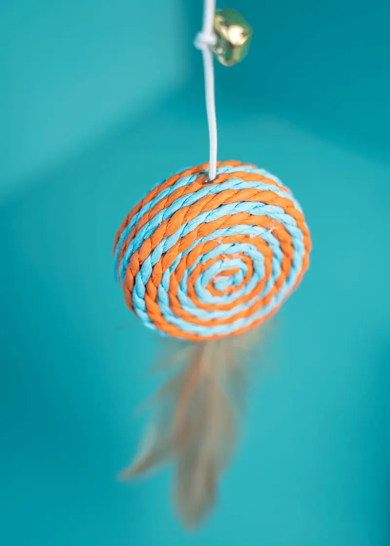 Thumbnail 4: Greenhero Katzenangel Lolipop