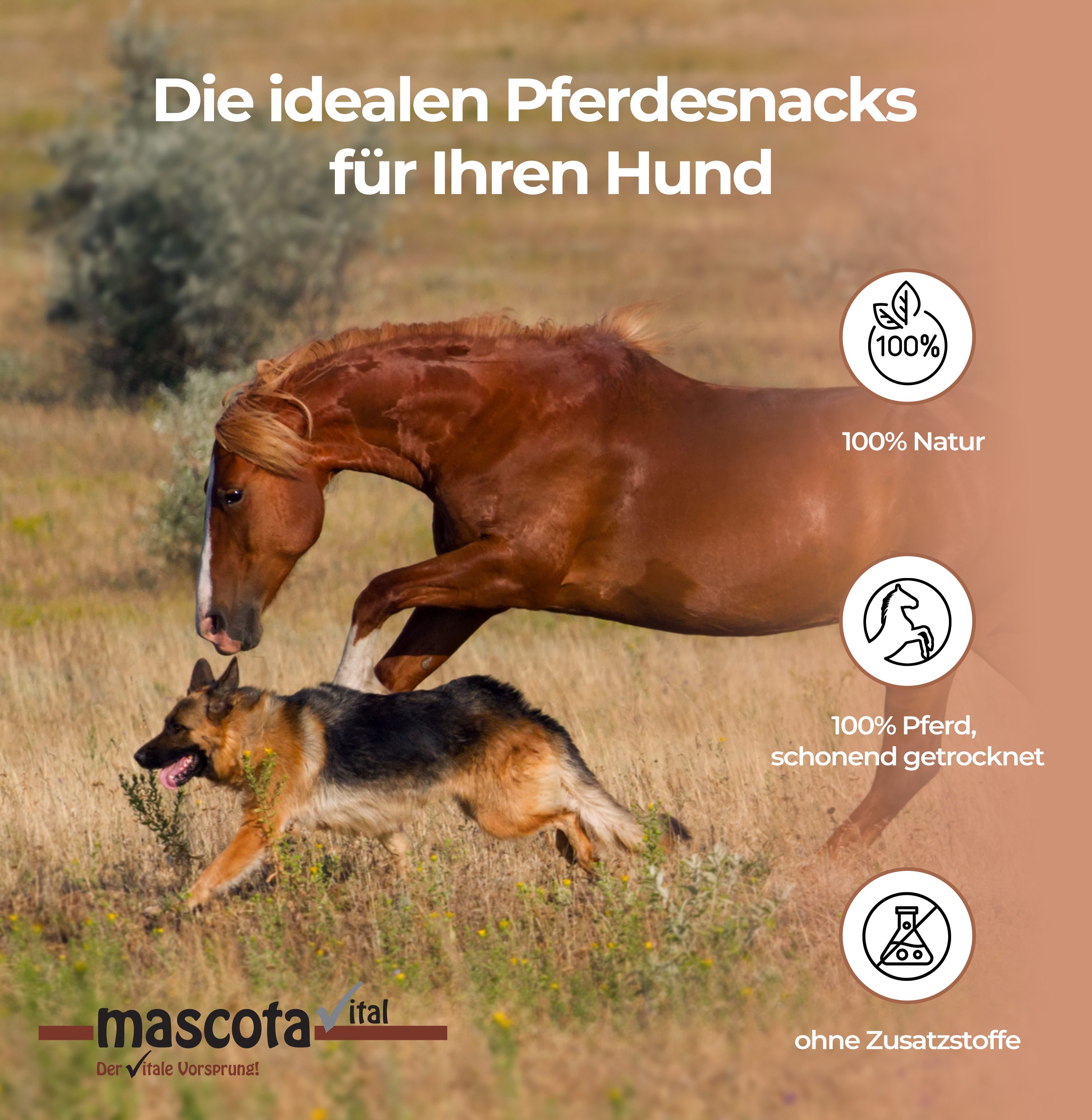 Thumbnail 6: mascota vital Pferdeknochen für Hunde, mit Sehne, Zahnpflege Snack