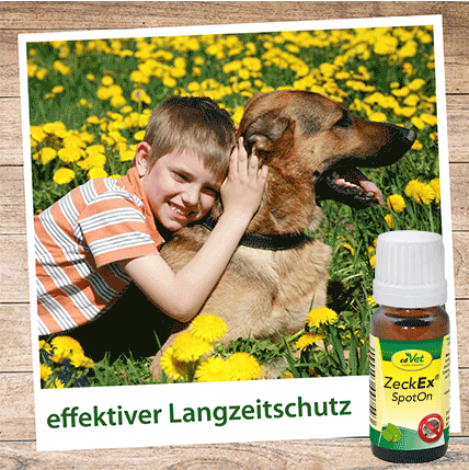 Thumbnail 4: insektoVet® ZeckEx SpotOn 50 ml – Natürliche Pflege und Geruchsmaskierung gegen Zecken