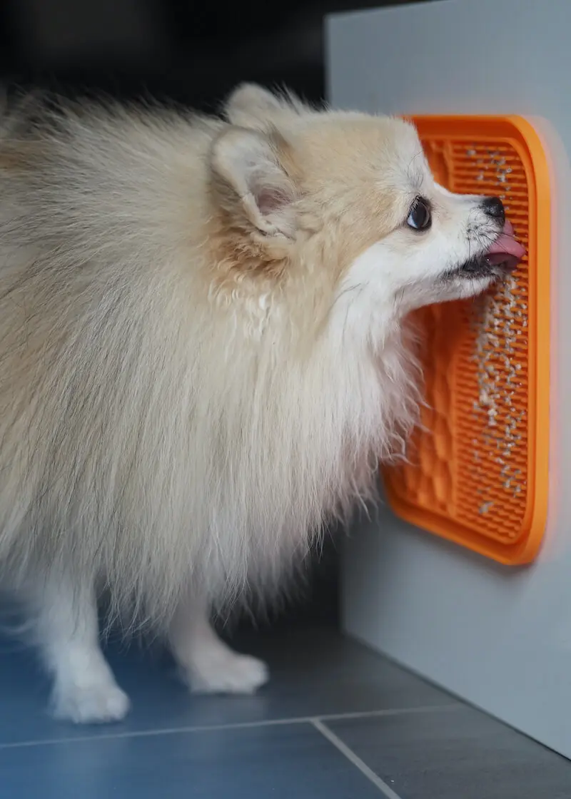 Thumbnail 6: Greenhero Schleckmatte für Hunde und Katzen - 2er Set