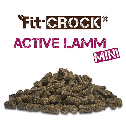 Thumbnail 3: Fit-CROCK® Active Lamm Mini 3 kg – für kleine bis mittelgroße Hunde mit hohem Energiebedarf