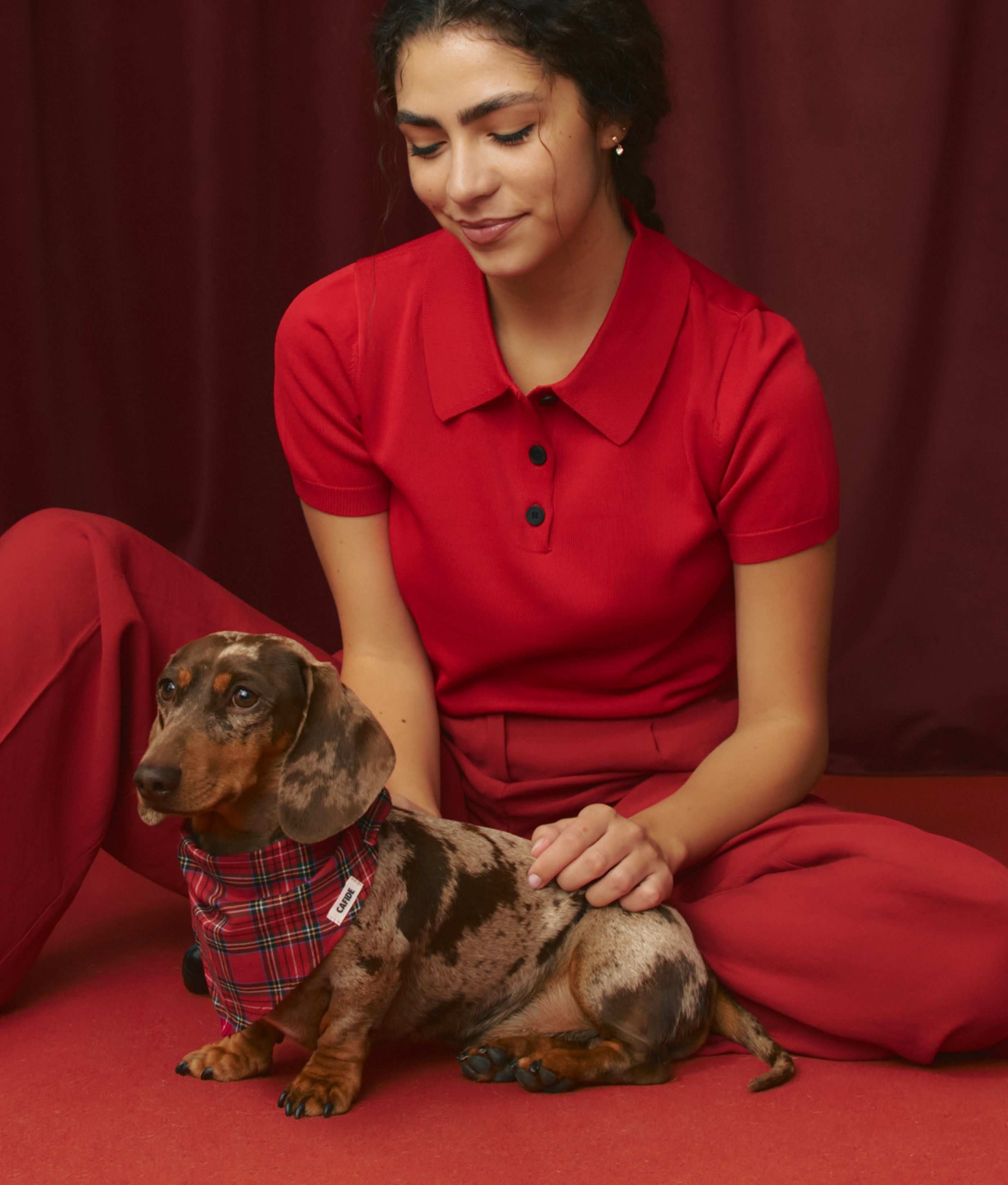 Thumbnail 4: CAFIDE Hundehalstuch, Nata