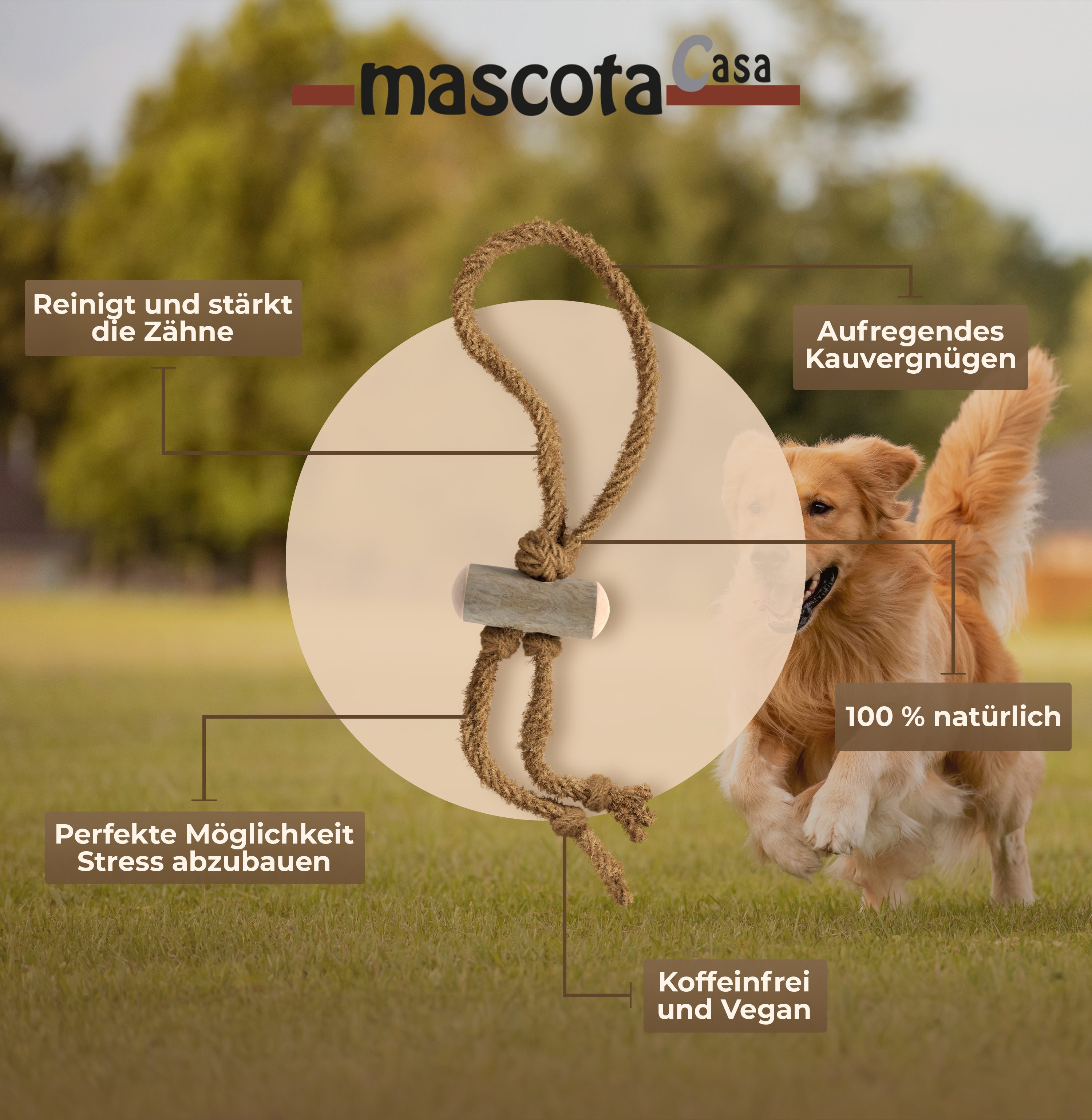 Thumbnail 1: mascota casa Tug & Pull Kauspielzeug für Hund aus Kaffeeholz und Kokosfaserseil, koffeinfrei und natürlich