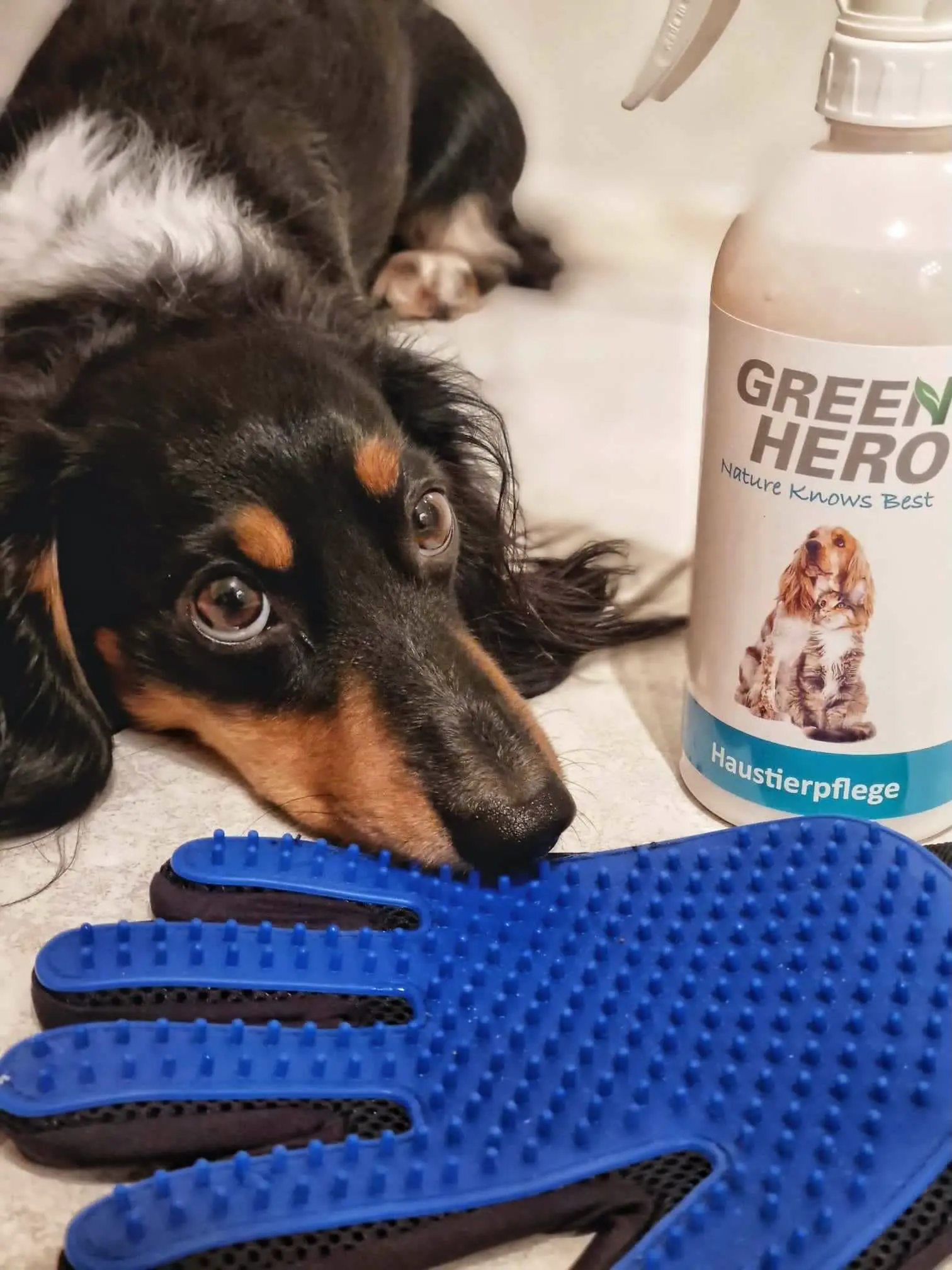 Thumbnail 2: Greenhero Enthaarungs- und Pflegehandschuhe für Hunde und Katzen zum Entfernen von Unterwolle