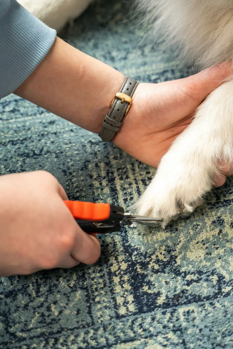 Thumbnail 2: Greenhero Krallenschere für Hunde und Katzen