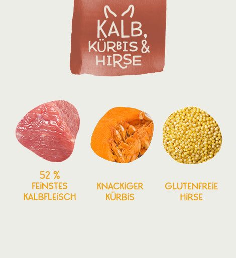 Thumbnail 8: Milo & Mia Schonkost für Hunde Nassfutter, magenschonendes Hundefutter für Hunde mit Magen-Darm-Problemen, glutenfreie Zutaten: Kalb, Kürbis & Hirse (6x400g)