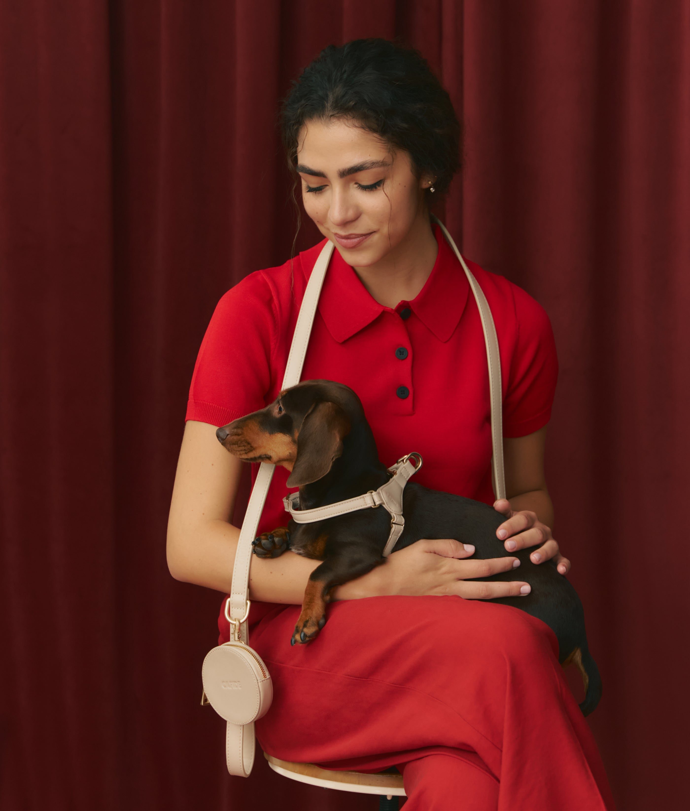 Thumbnail 1: CAFIDE Hundegeschirr aus Veganem Leder, Jala