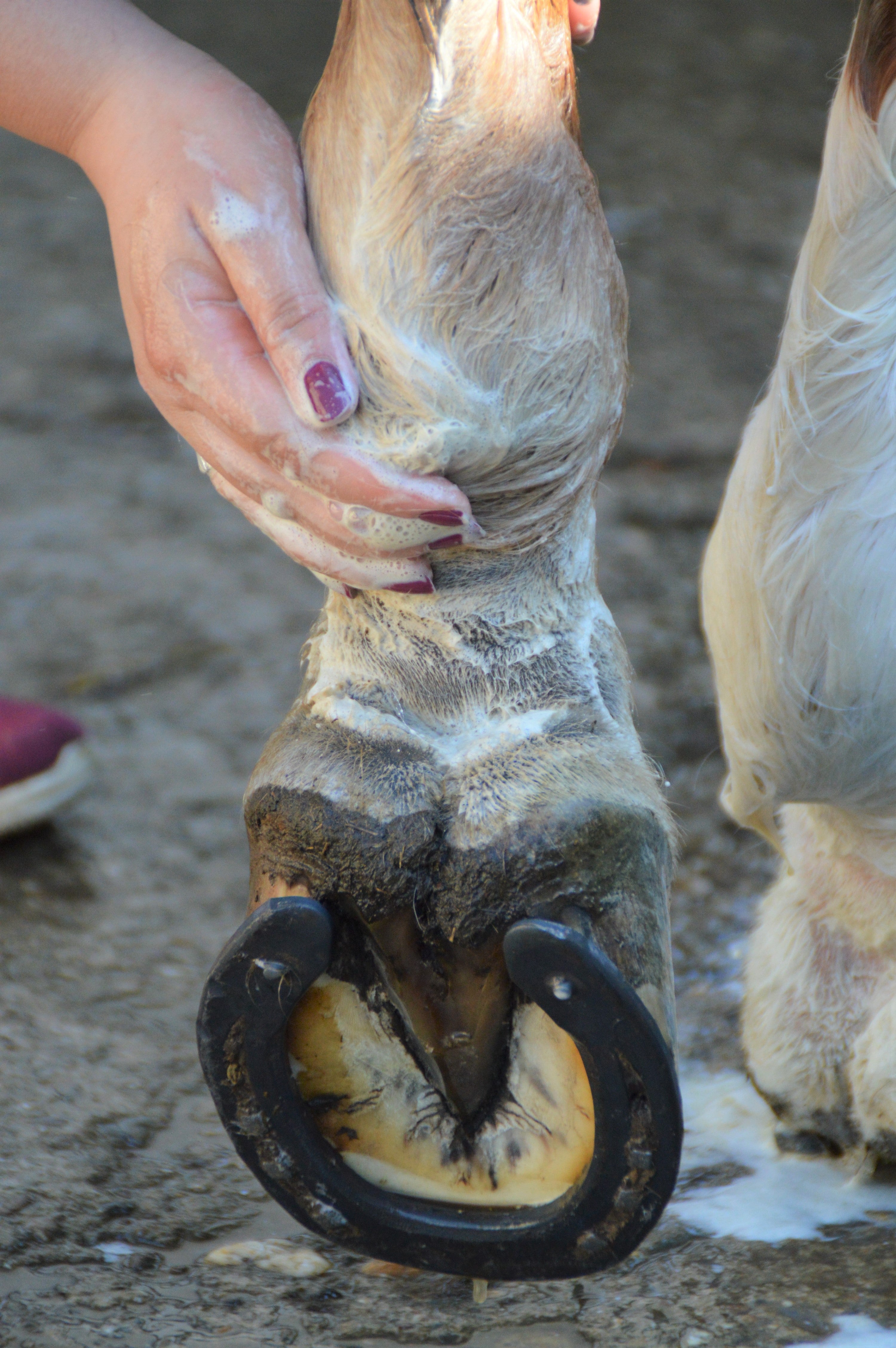 Thumbnail 3: Yuki cares Maukeseife