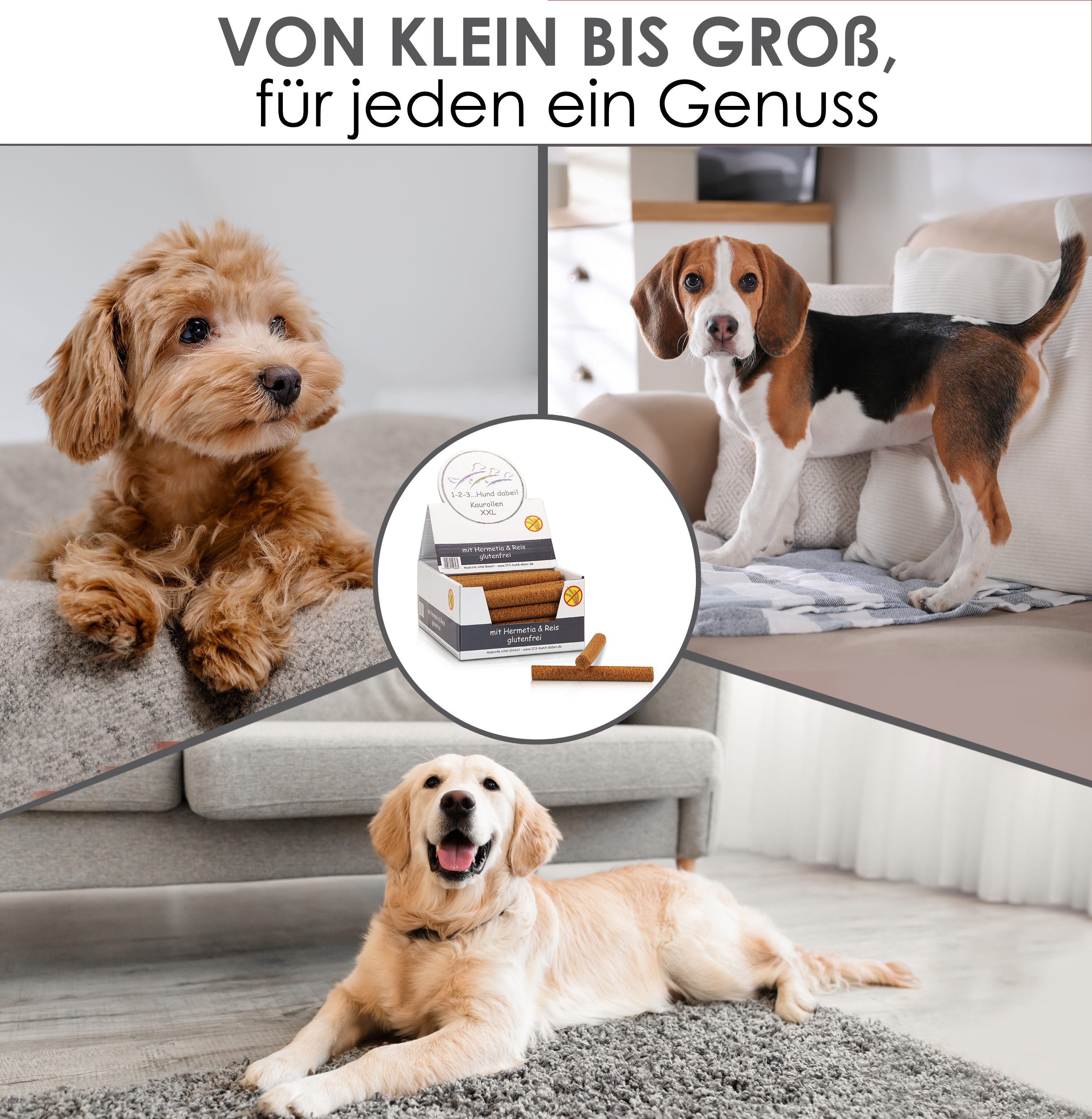 Thumbnail 6: 123… Hund dabei! Kaurollen XXL mit Insekten und Reis, harte Kauartikel für Hunde, getreidefrei, Zahnpflegesnack, XXL Pack