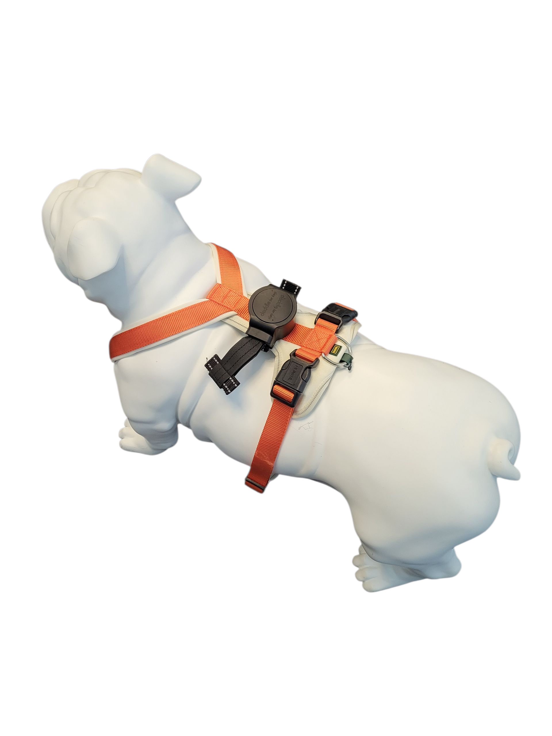 Thumbnail 3: doddle for dogs Leine schwarz für Hundegeschirr für große Hunde