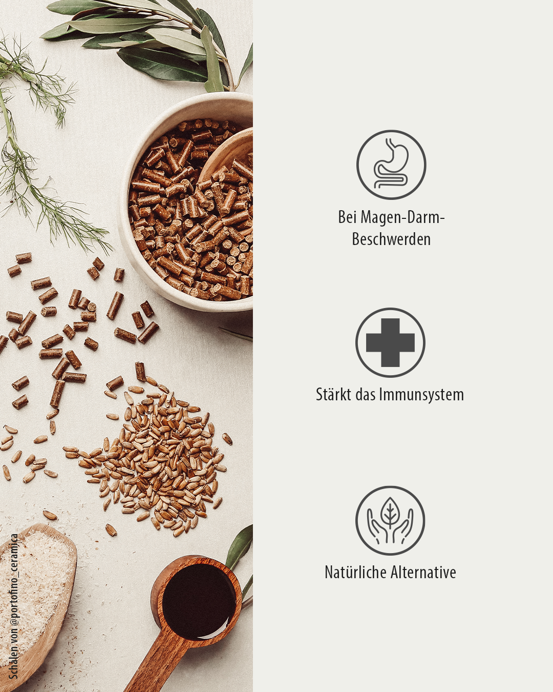 Thumbnail 7: GREEN PAWLY MAGEN-Freund