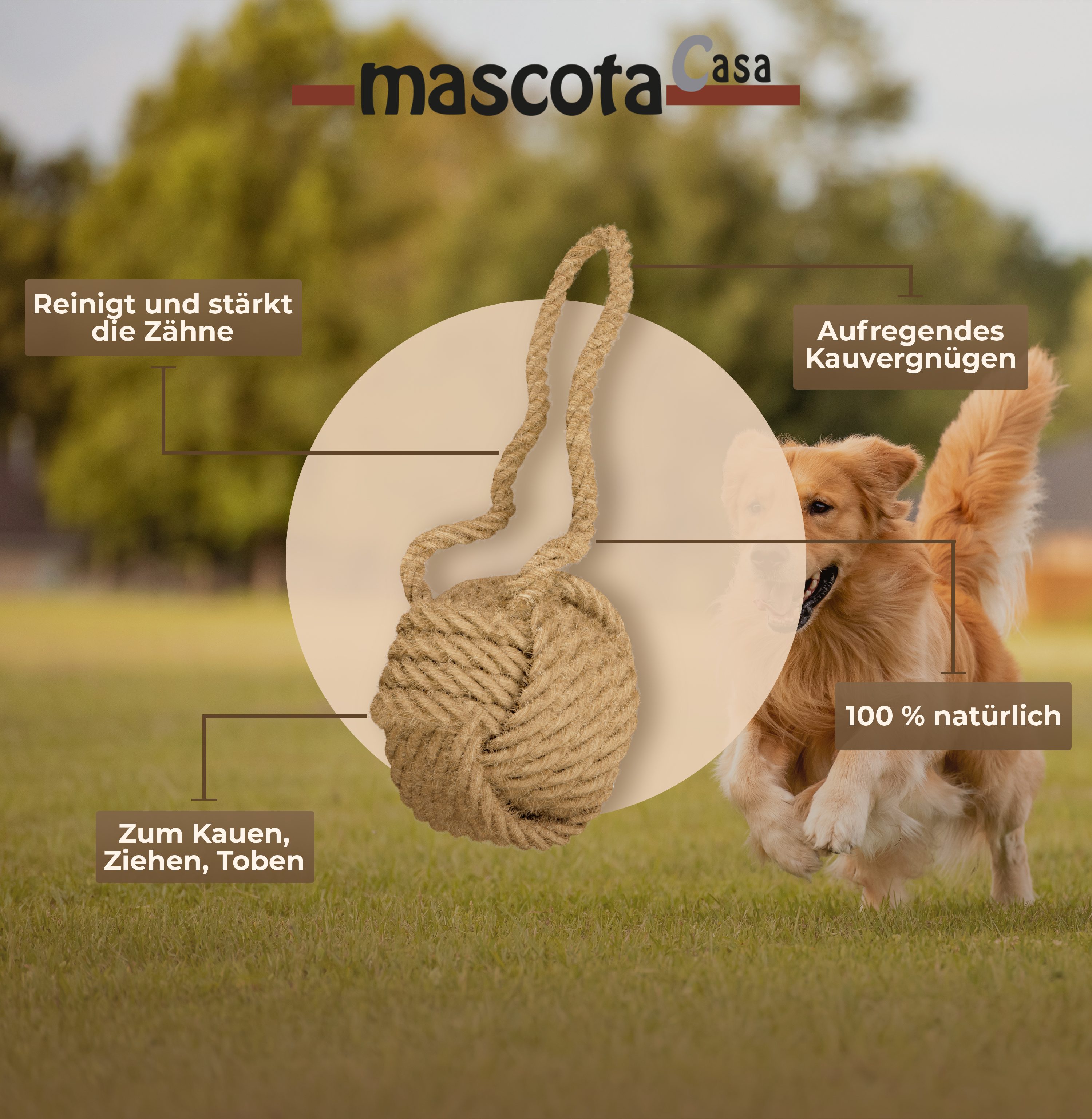 Thumbnail 3: mascota casa Cocoball Kauspielzeug für Hunde aus Kokosseil, unterstützt die Zahngesundheit, ab 20 kg