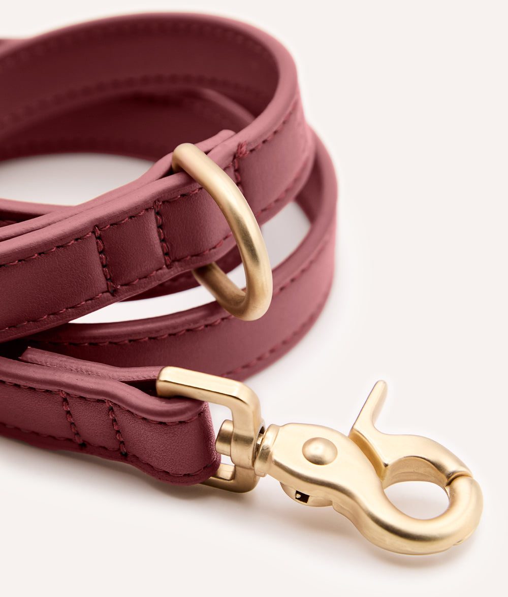 Thumbnail 3: CAFIDE Hundeleine aus Veganem Leder 1,4 m, Jala