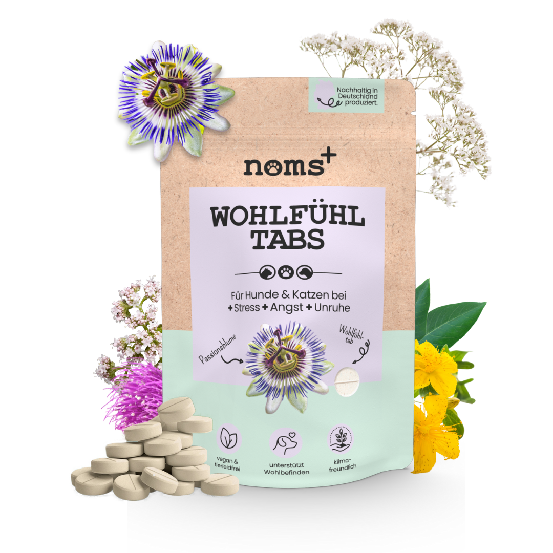 Noms+ Wohlfühltabs für Hunde bei Stress, Angst, Unruhe und Hyperaktivität
