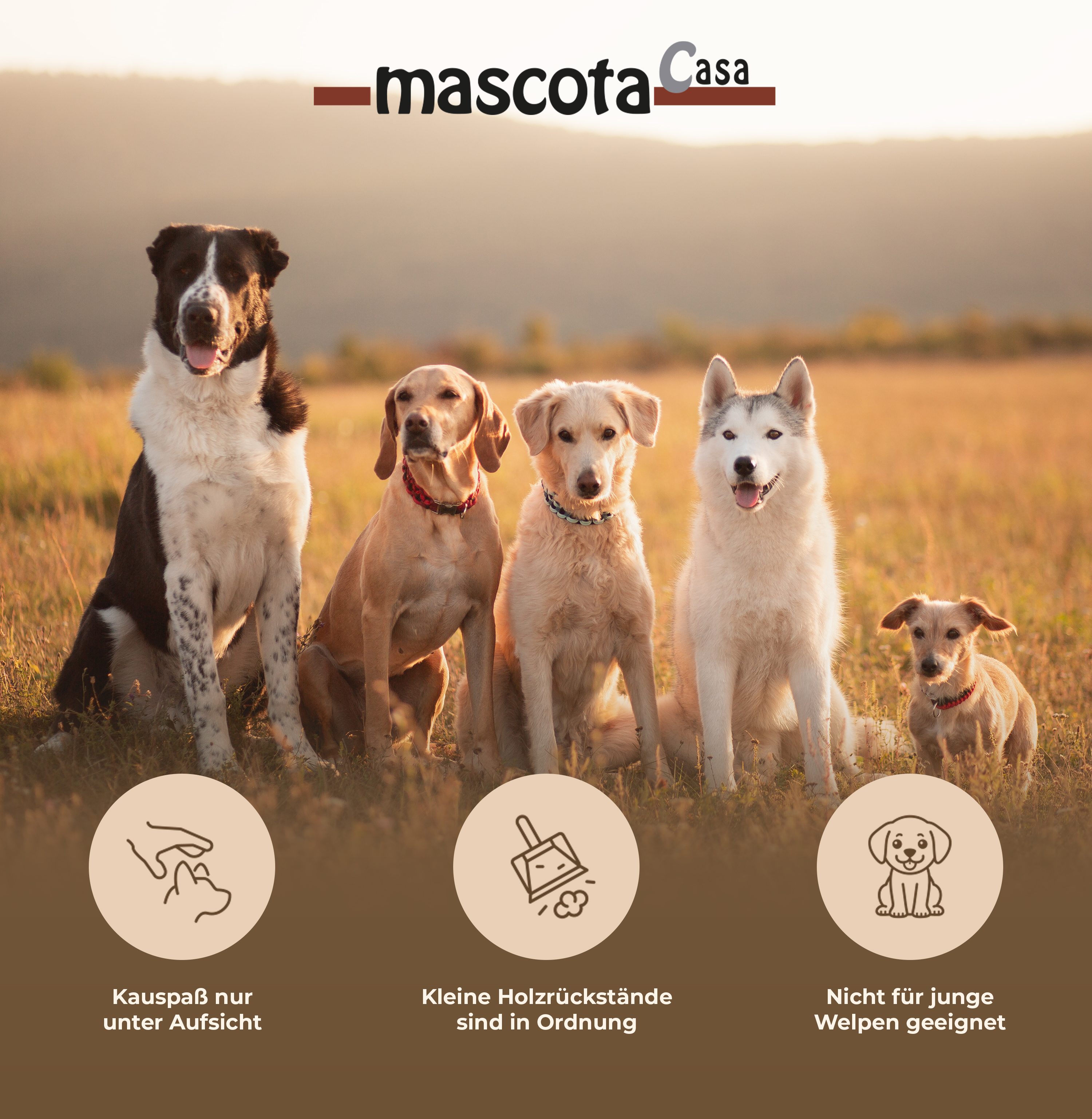 Thumbnail 5: mascota casa Coco Rope Kauspielzeug für Hunde aus Kokosseil, unterstützt die Zahngesundheit im Zahnwechsel