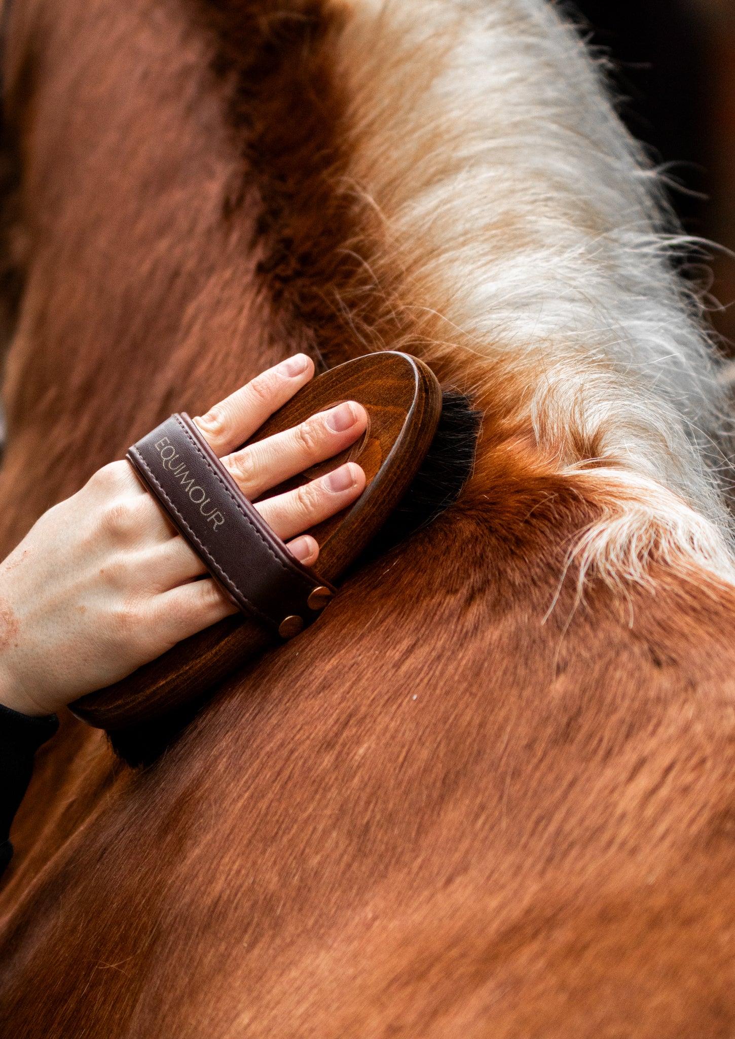 Thumbnail 7: Equimour Glanz-Duo SET