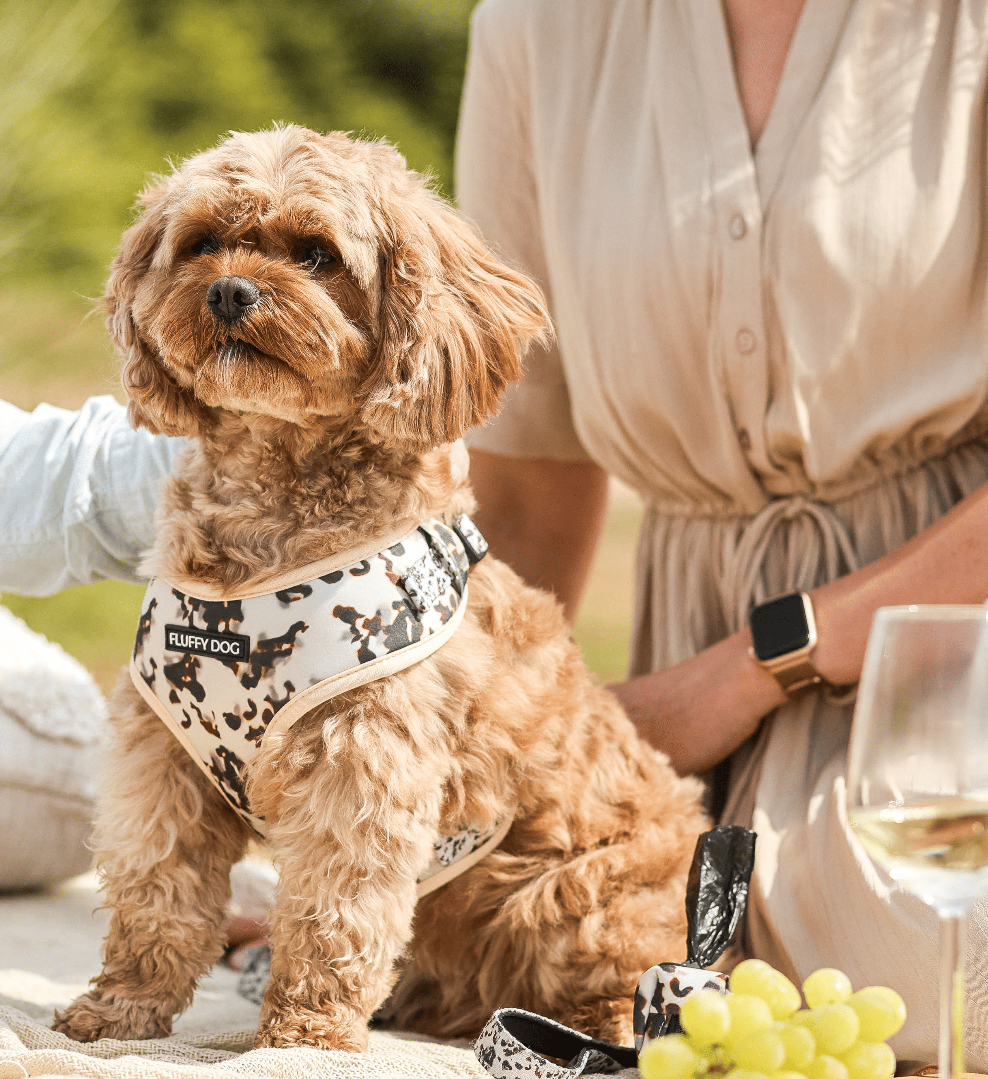 Thumbnail 3: Fluffy Dog Hundegeschirr „Coffee“ – bequemes Alltagsgeschirr aus veganem Neopren mit D-Ring & Mesh-Polsterung