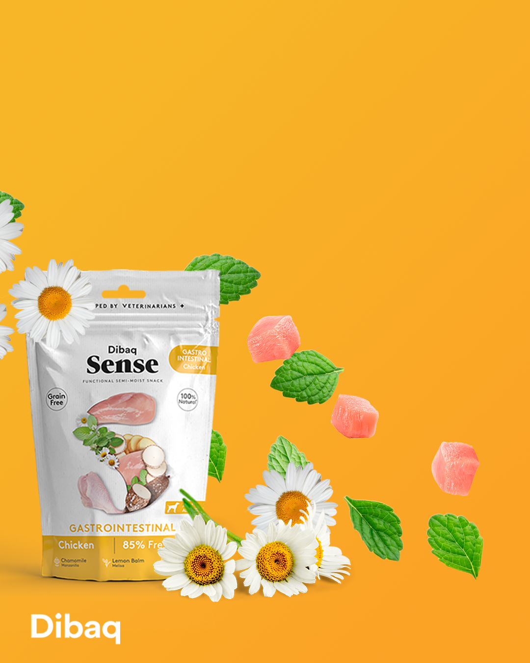 Bild 1 von 1: Dibaq Sense funktionaler Snack Gastrointestinal Huhn 100g