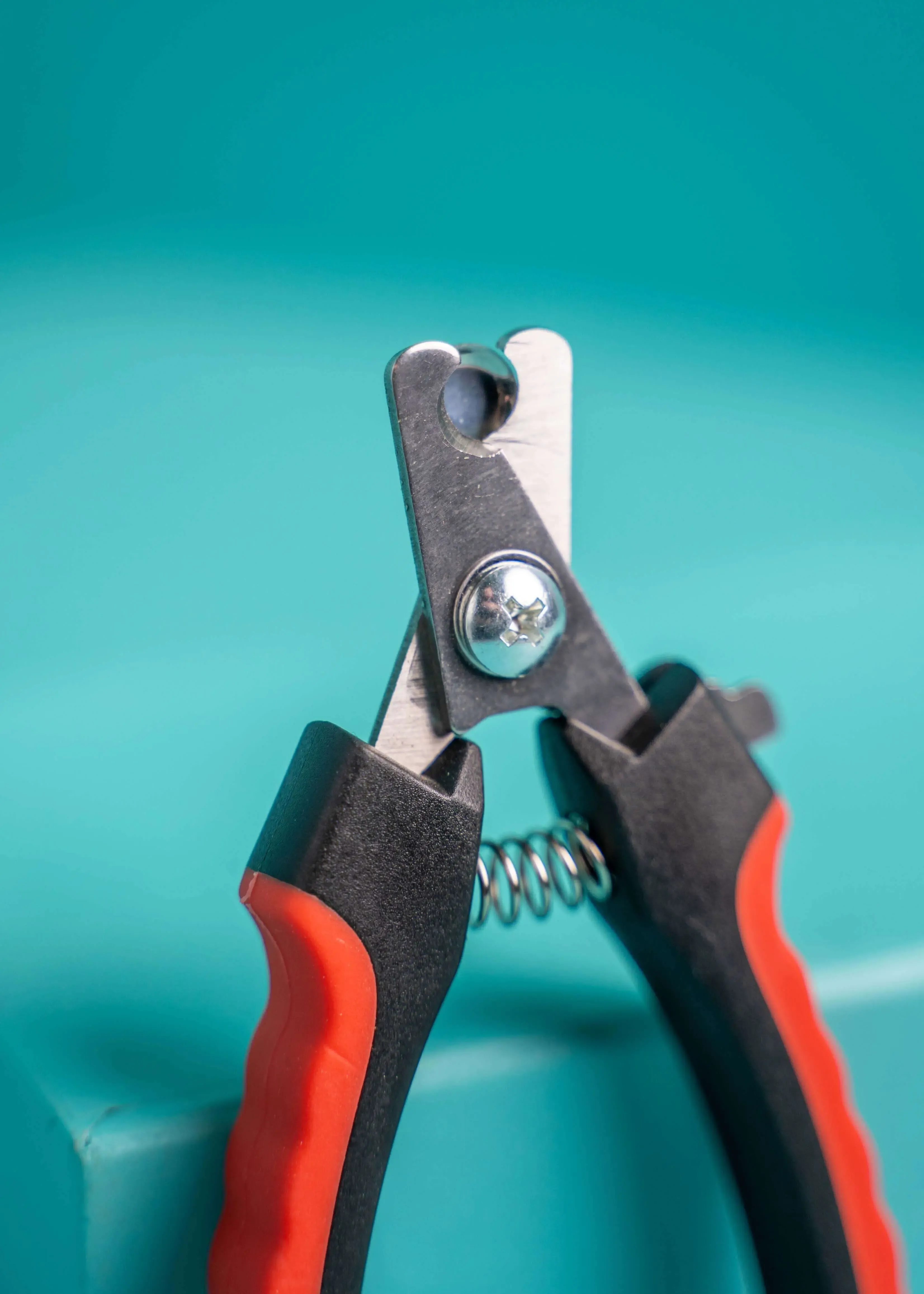 Thumbnail 5: Greenhero Krallenschere für Hunde und Katzen