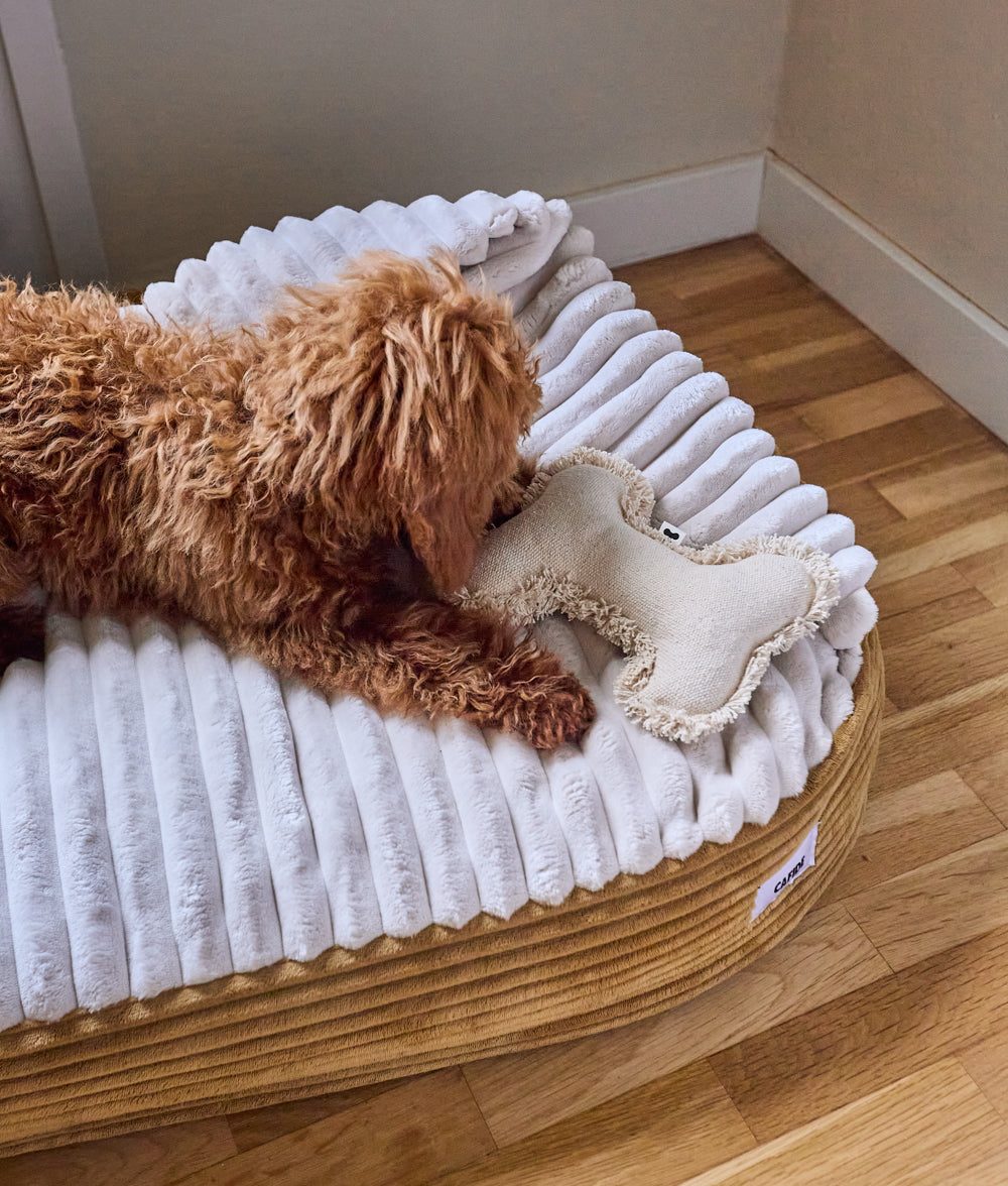 Thumbnail 6: CAFIDE Hundebett mit Kapuze aus Cord, Maso