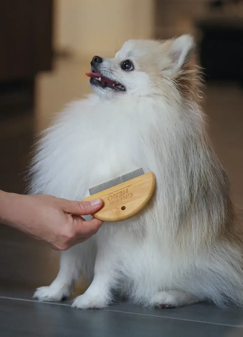 Thumbnail 4: Greenhero Flohkamm und Läusekamm für Hunde und Katzen