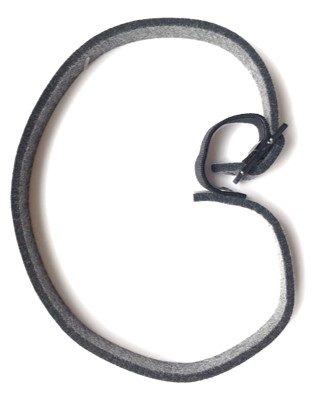 Thumbnail 4: Canina PETVITAL Bio-Schutz-Halsband Ungezieferhalsband für große Hunde 65 cm