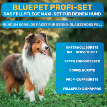 Thumbnail 2: BluePet Großes Fellpflege-Set für Langhaar: Unterwollharke, Entfilzer, doppelseitige Bürsten: Doppeldecker & Zupfbürste, Service-Set, Fellspray & Hundeshampoo