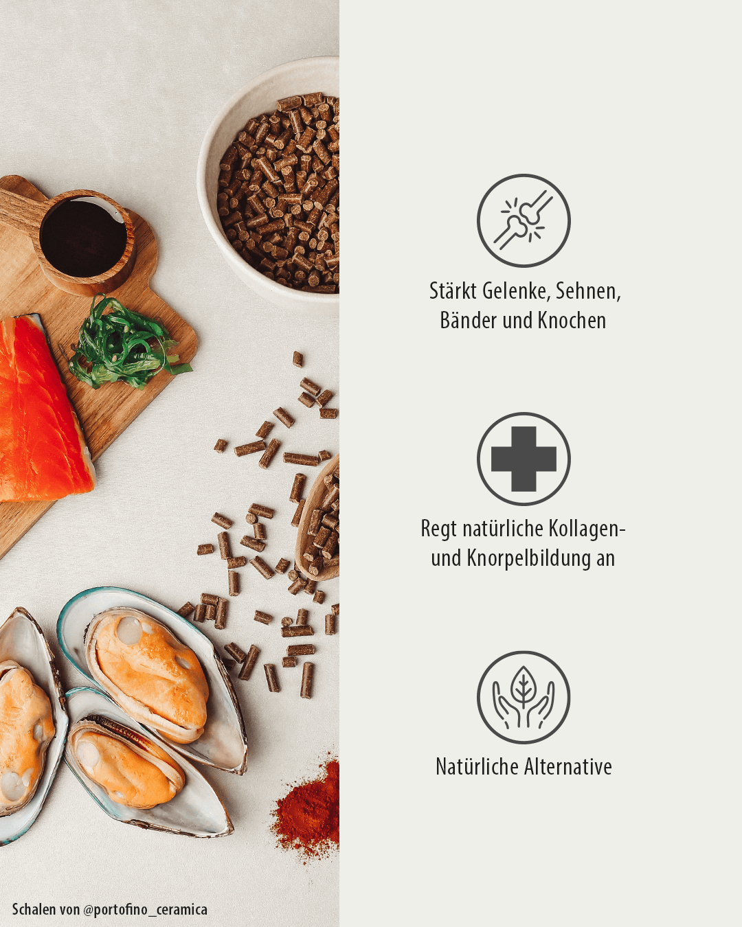 Thumbnail 1: GREEN PAWLY GELENK-Freund