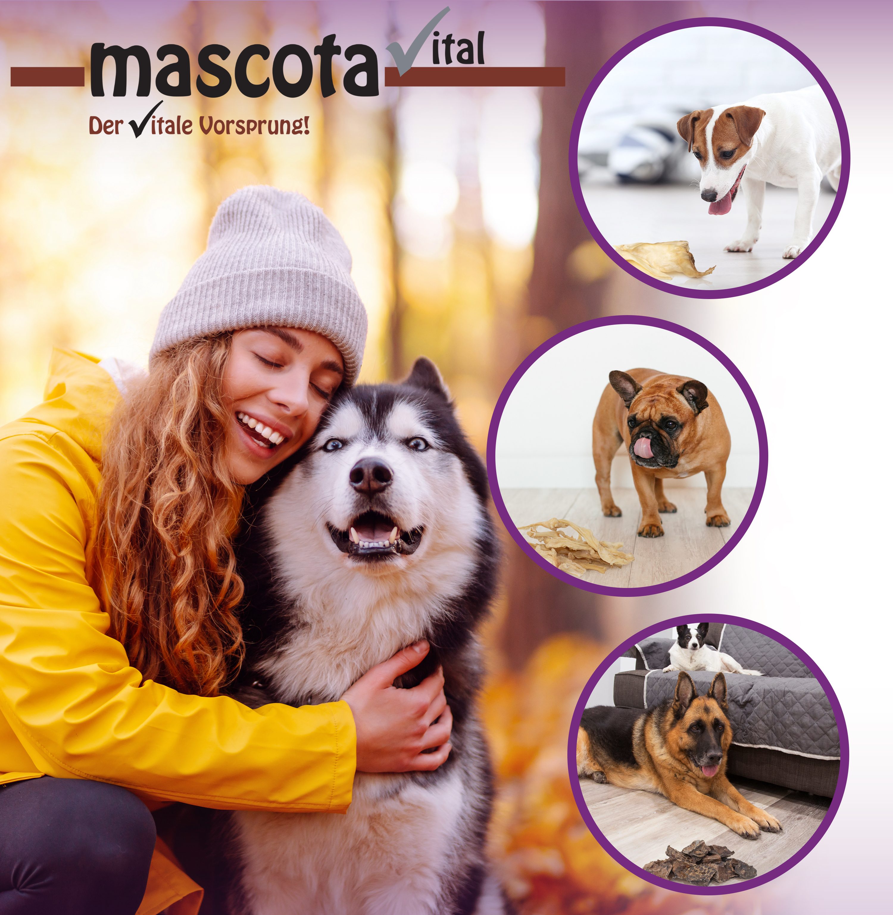 Thumbnail 5: mascota vital Ziegenohren, getrockneter Kauartikel für Hunde, 200 g