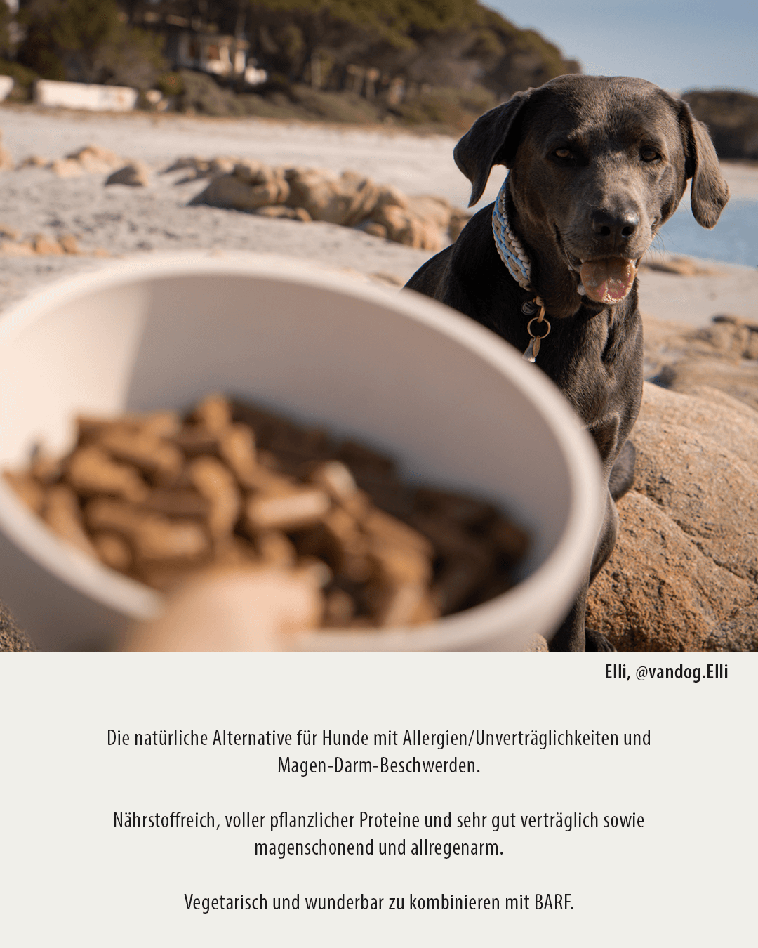 Thumbnail 4: GREEN PAWLY Happy Hypo Allergen  🌱 – Probepackung 2x 80 g