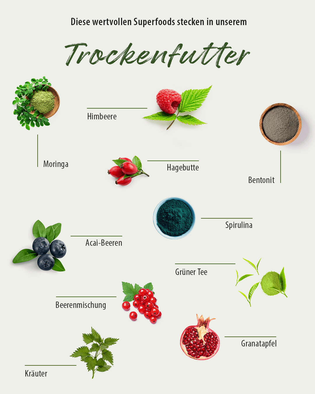 Thumbnail 1: GREEN PAWLY Complete HUHN plus 10 Superfoods