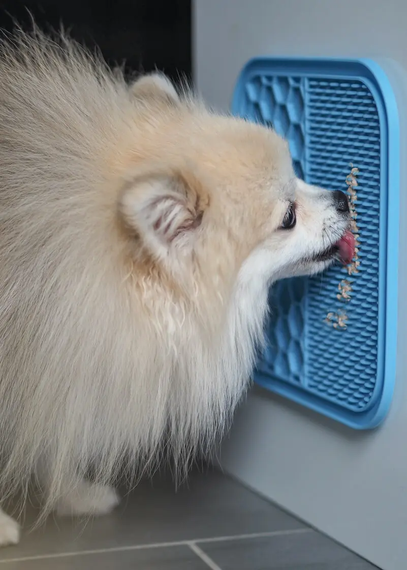 Thumbnail 3: Greenhero Schleckmatte für Hunde und Katzen - 2er Set