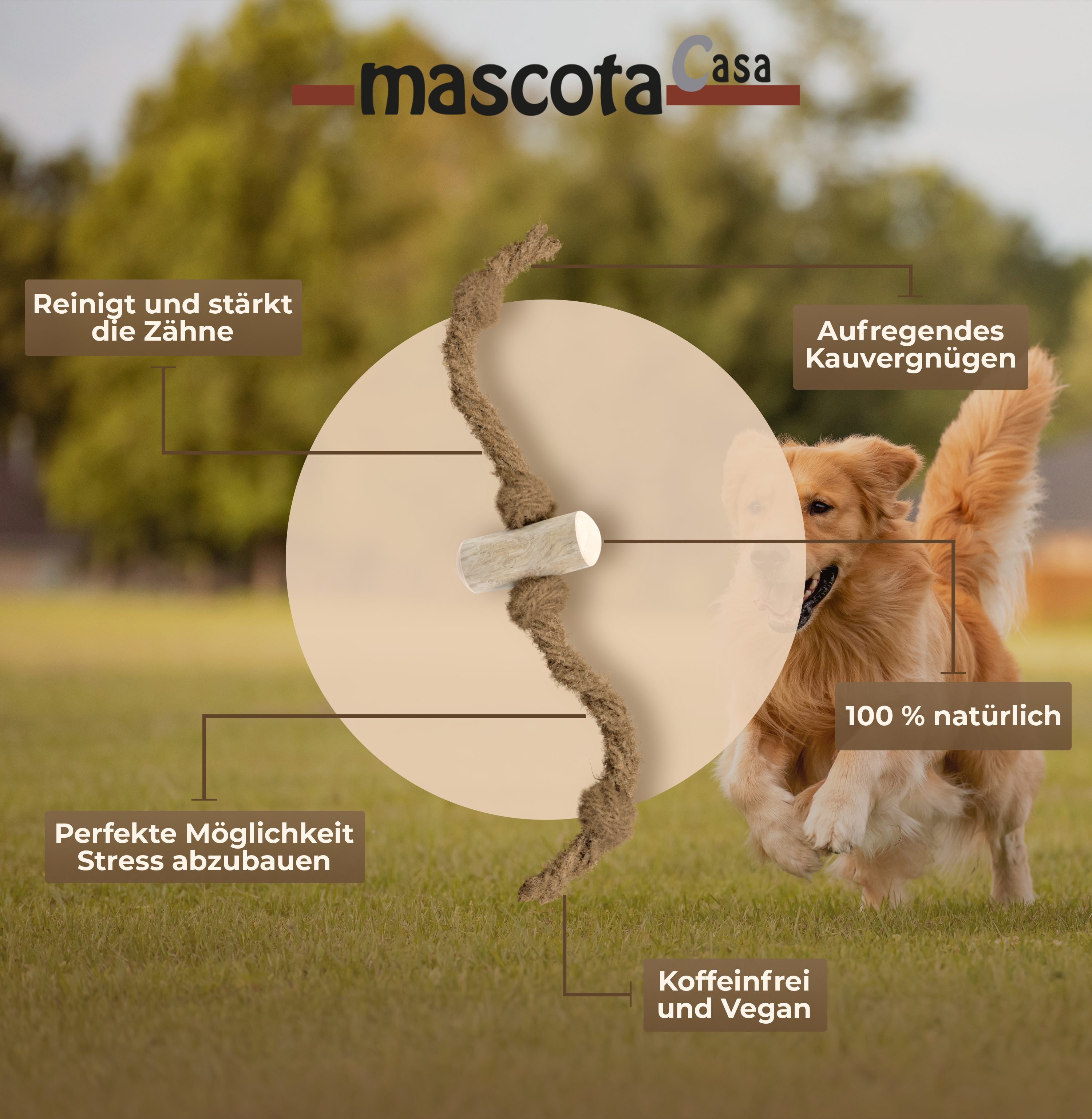 Thumbnail 1: mascota vital Coco & Coffee Kauspielzeug für Hunde aus Kaffeeholz und Kokosfaserseil, koffeinfrei und natürlich, bis 20 kg Gewicht