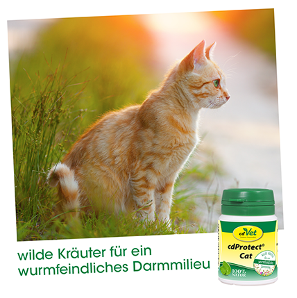 Thumbnail 3: cdVet cdProtect Cat 12 g – mit Kräutern zur ernährungsbedingten Versorgung des Darms