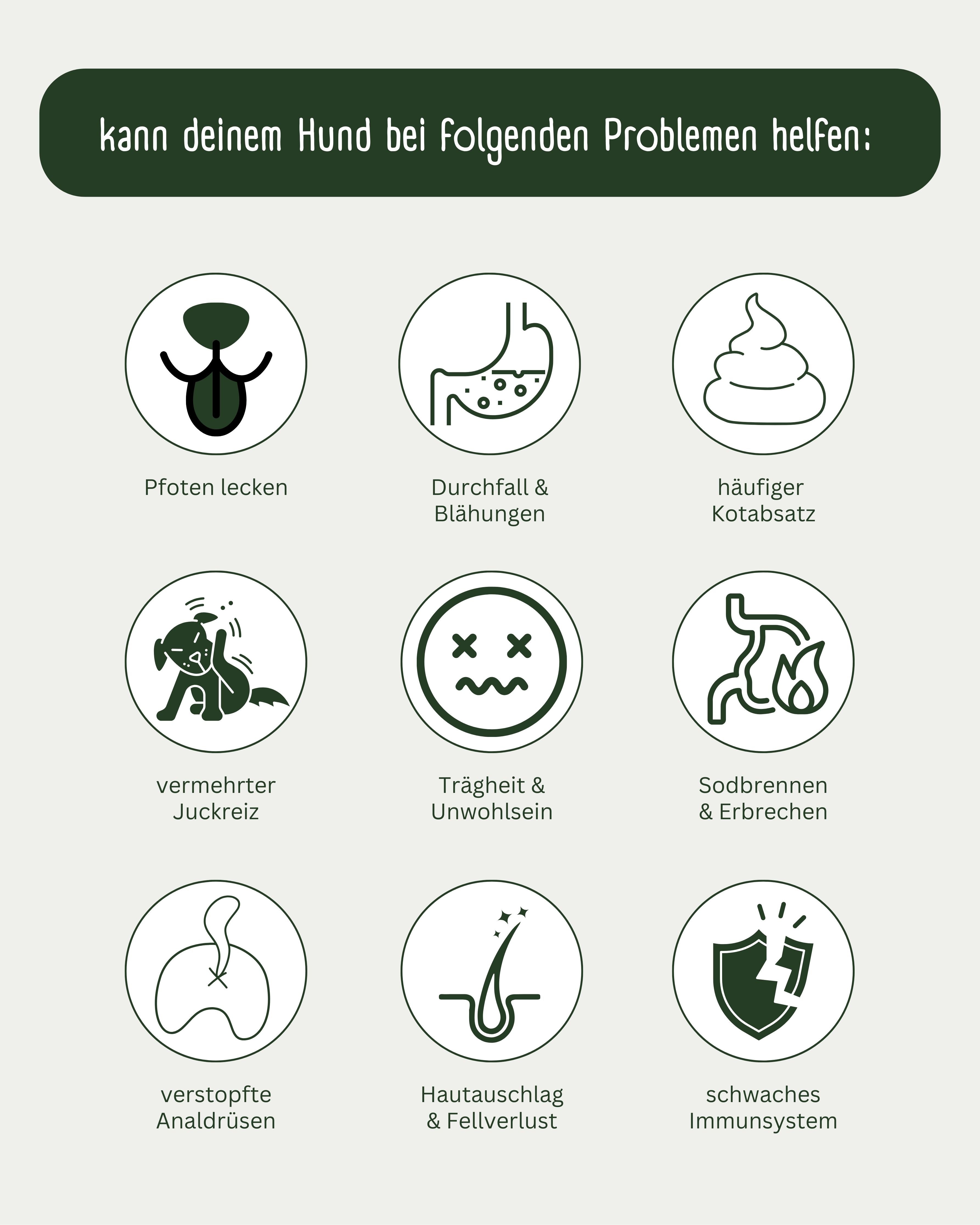 Thumbnail 5: GREEN PAWLY MAGEN-Freund