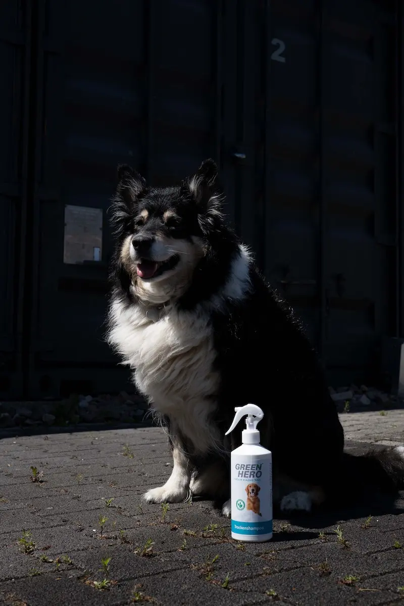 Thumbnail 2: Greenhero Trockenshampoo für Hunde