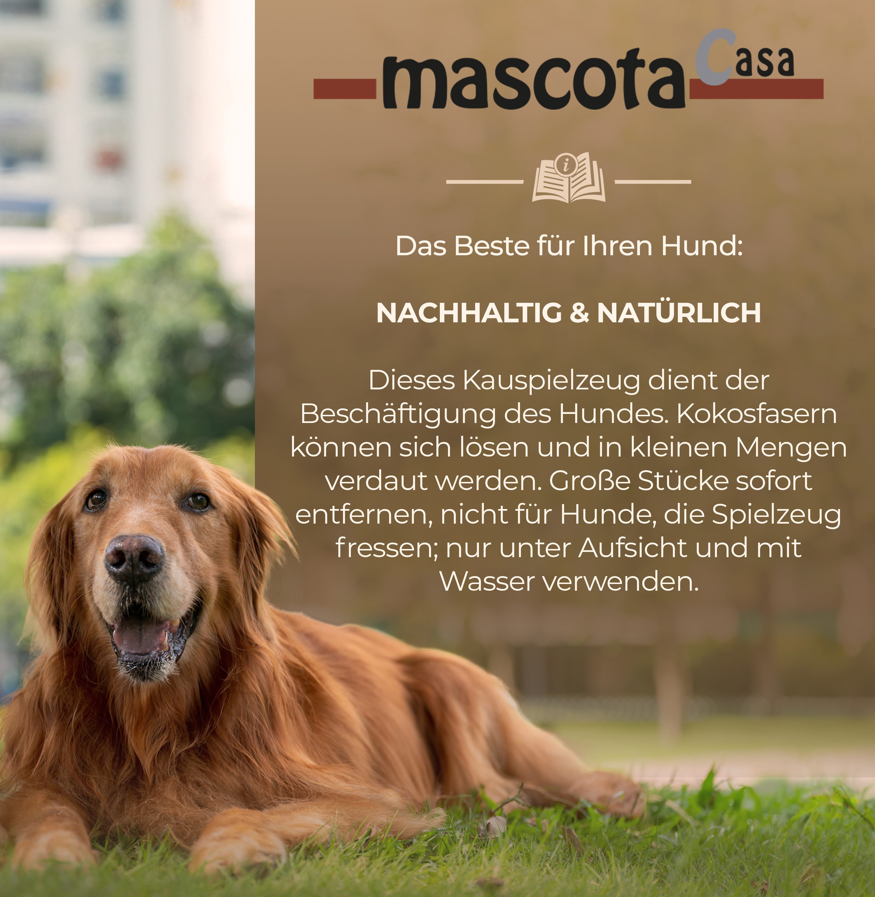 Thumbnail 4: mascota casa Cocoball Kauspielzeug für Hunde aus Kokosseil, unterstützt die Zahngesundheit, ab 20 kg