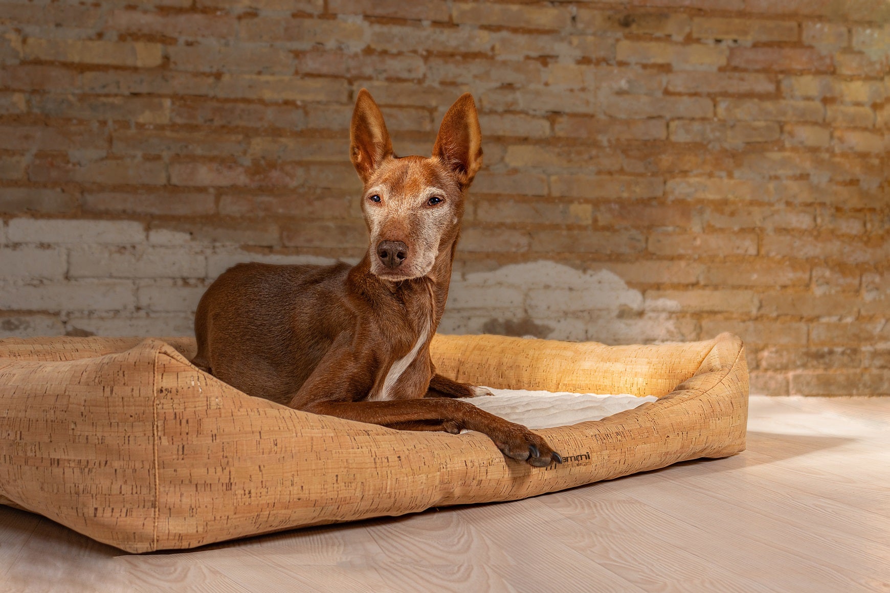 ammi® for Dogs Korkhundebett Nubo orthopädisch