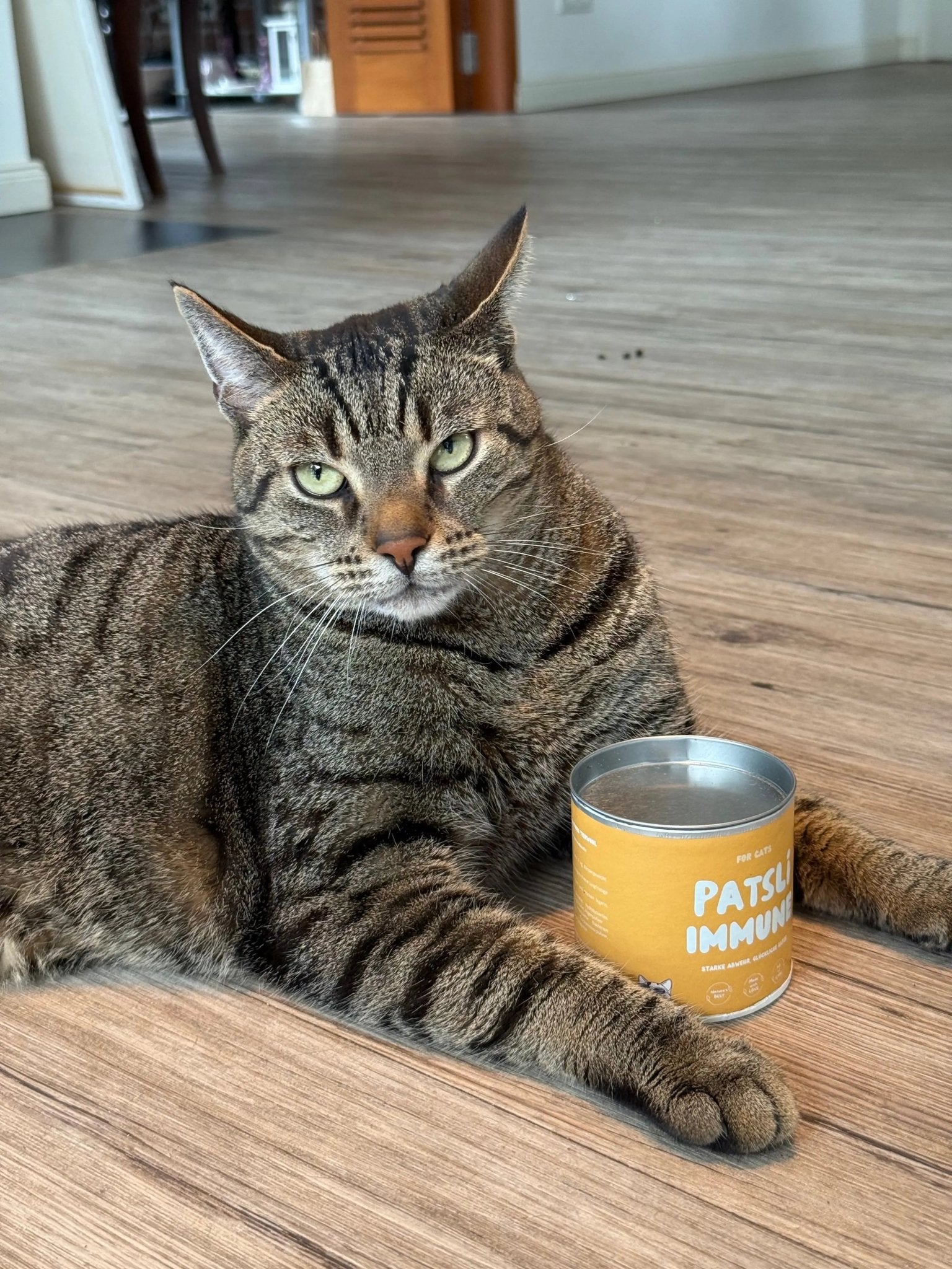 Thumbnail 4: Patsli Immunsystem der Katze stärken mit Vitamin B-Komplex & Inulin