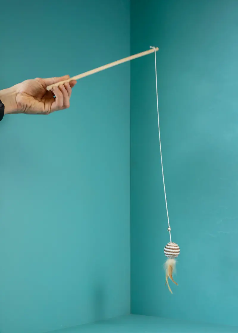 Thumbnail 4: Greenhero Katzenangel mit Ball braun-weiß