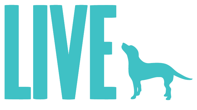 LIVE Wet