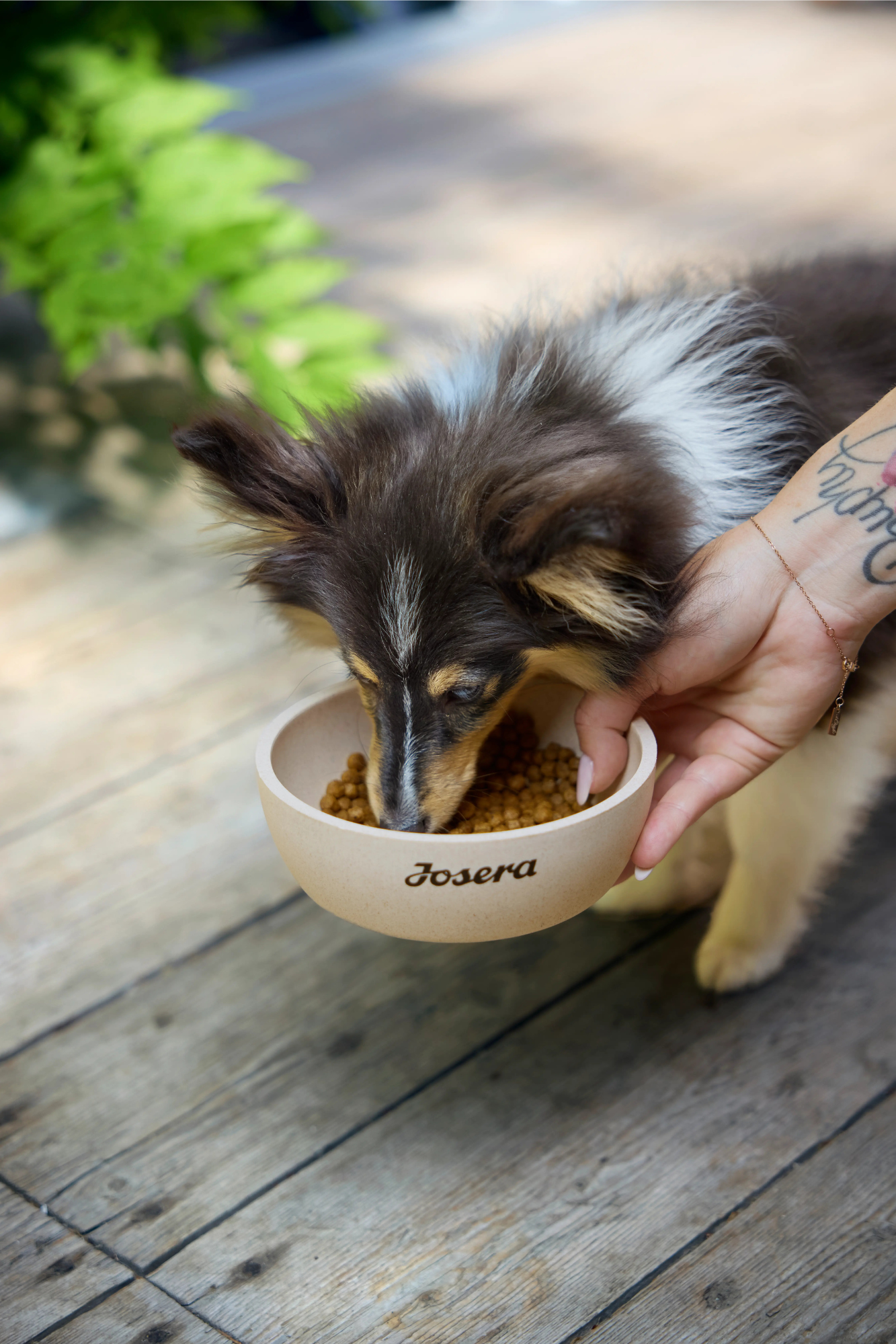 Thumbnail 3: Josera Mini Salmon & Chicken 3kg