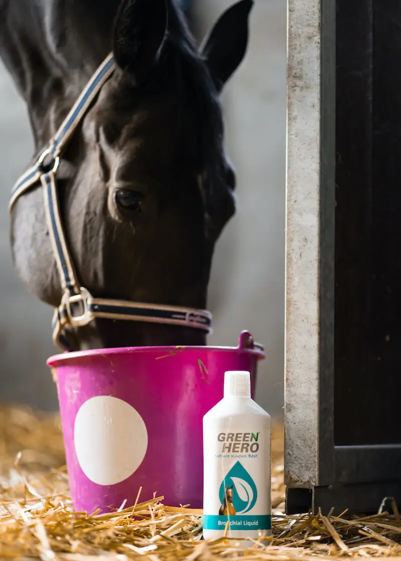 Thumbnail 4: Greenhero Bronchial Liquid für Pferde mit Kräutern