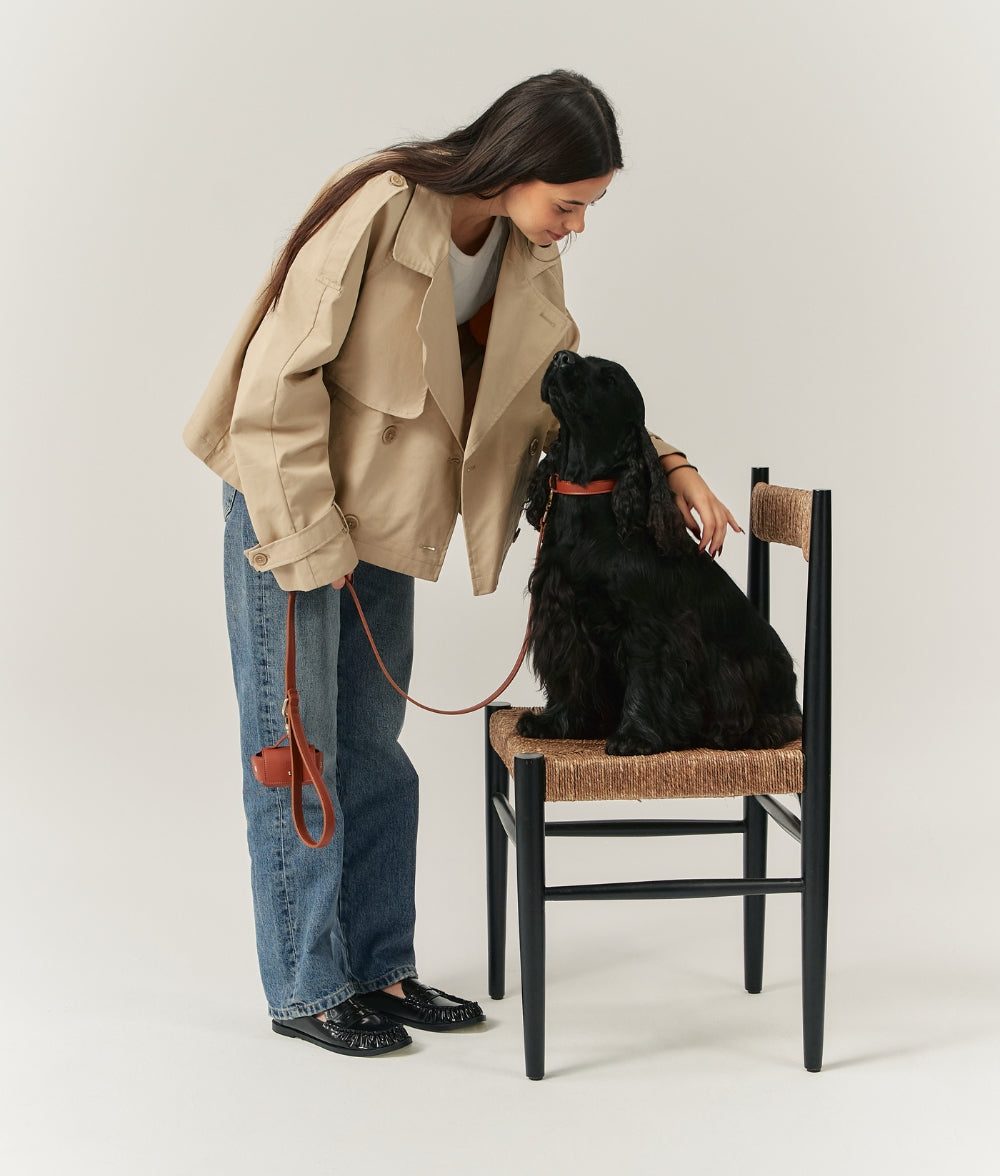 Thumbnail 3: CAFIDE Hundehalsband aus Veganem Leder, Jala