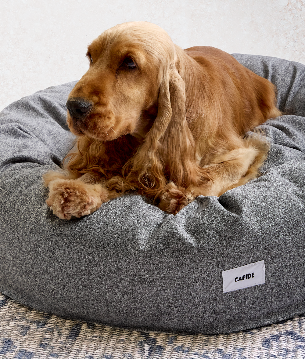 Thumbnail 6: CAFIDE Chenille-Hundebett, Nuba