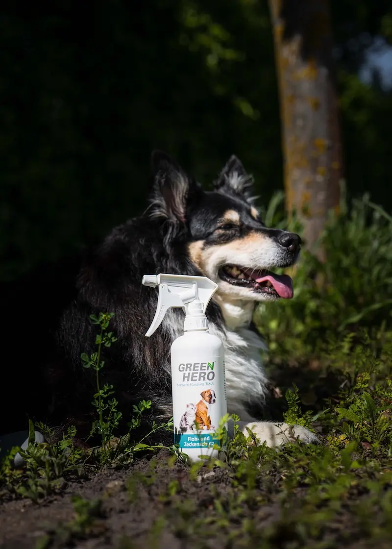 Thumbnail 6: Greenhero Floh- und Zeckenschutz für Hunde und Katzen