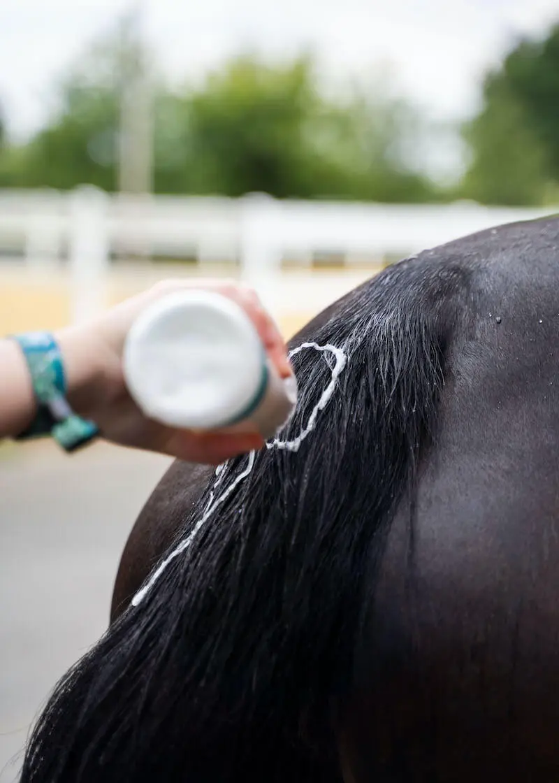 Thumbnail 5: Greenhero Pferdeshampoo Kokos