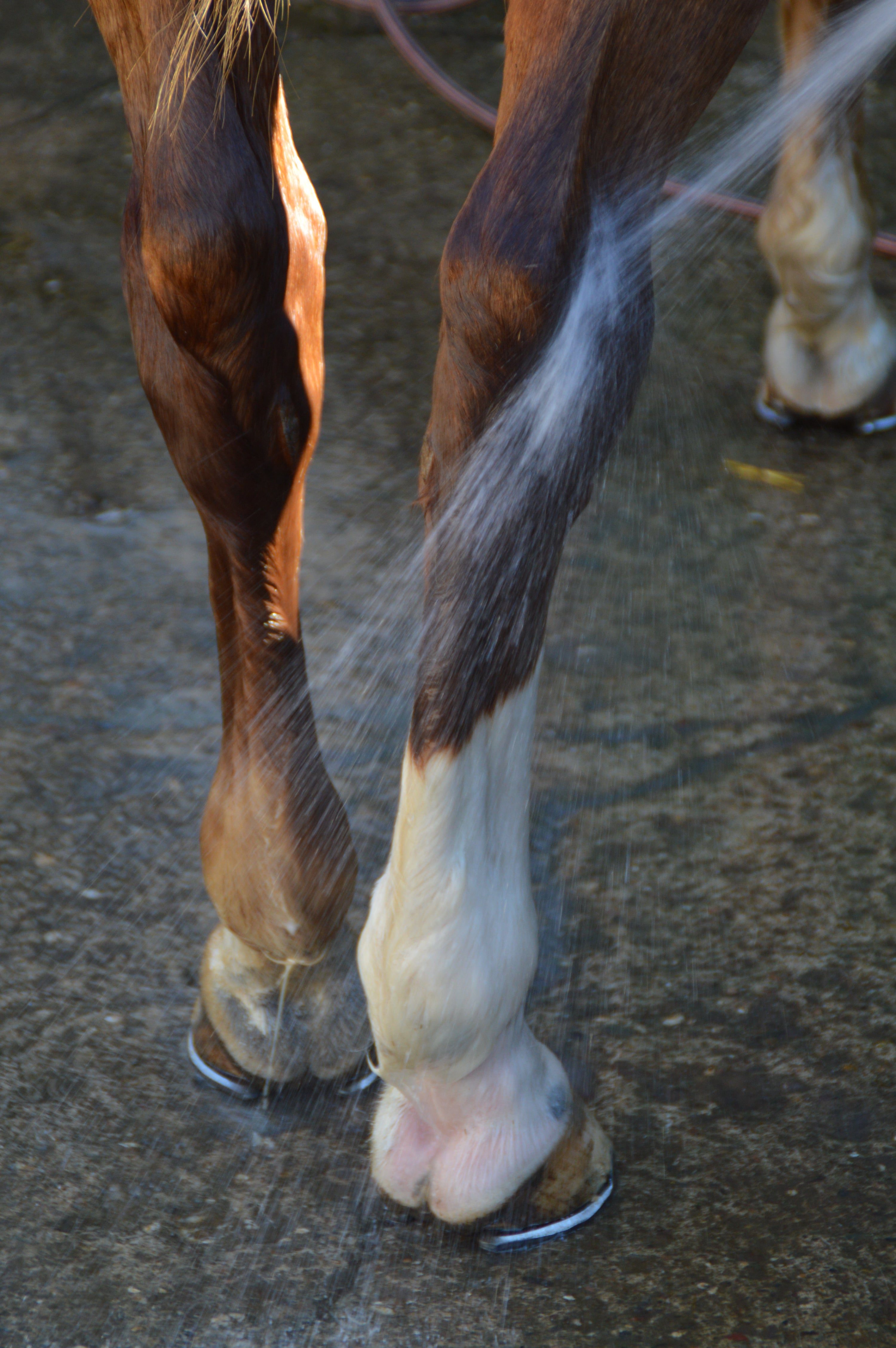 Thumbnail 8: Yuki cares Maukeseife