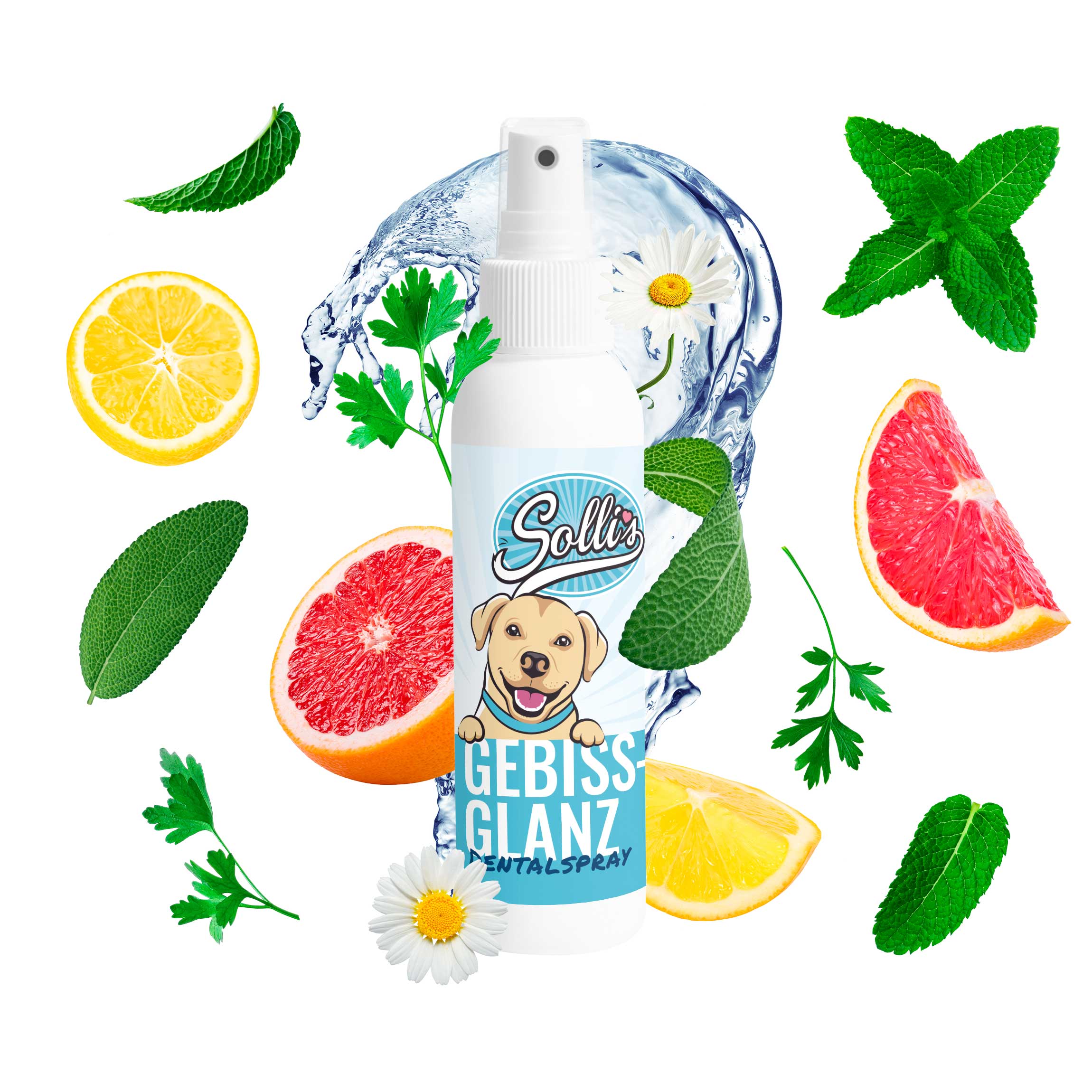 Sollis Gebissglanz Dentalspray für Hunde 100 ml